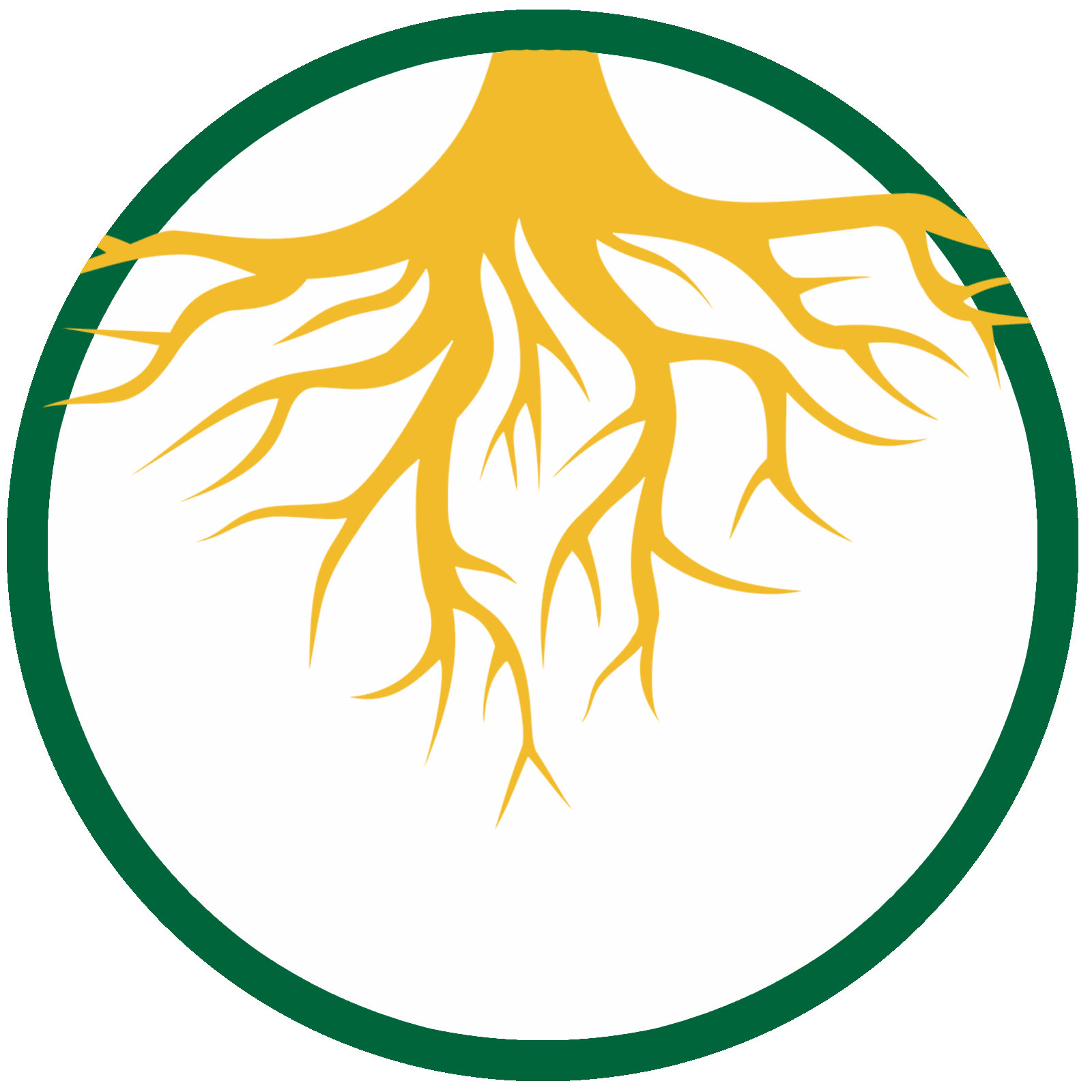 Aeration Lawn Care Services Weed Man Champaign, IL